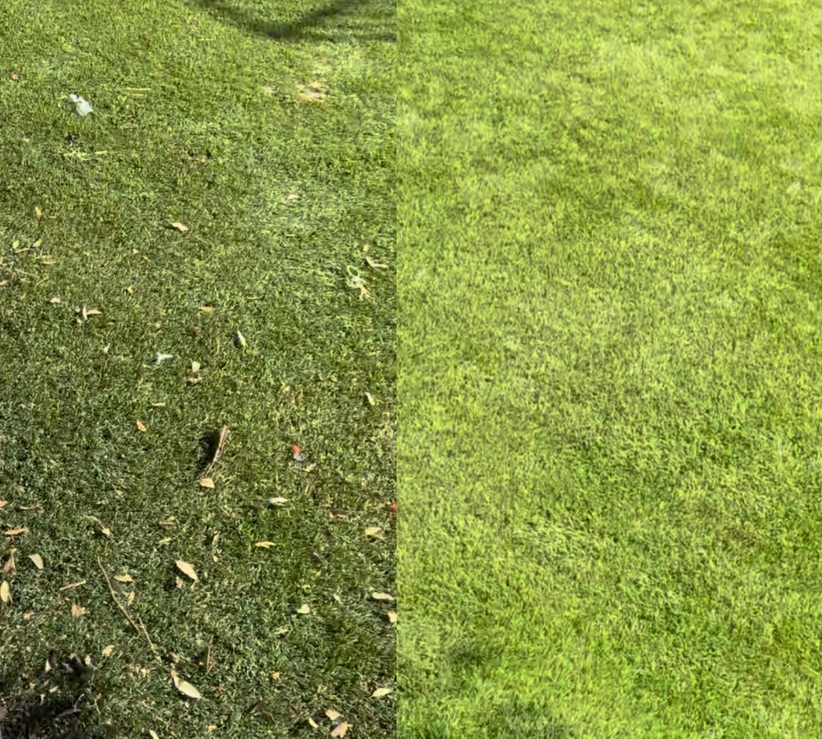 Before and after comparison of debris removal from artificial turf in Las Vegas