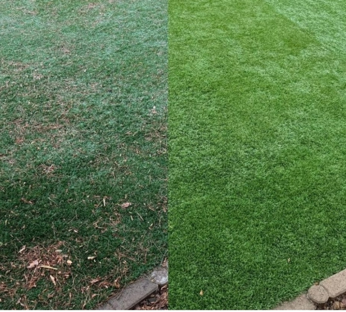 Close-up comparison of artificial turf before and after professional debris removal and sanitization