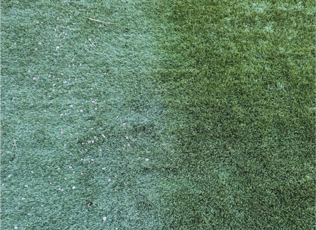 Detailed before and after comparison of properly maintained artificial turf in Las Vegas