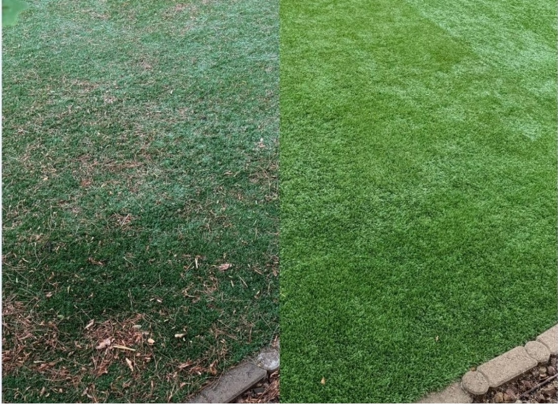 Before and after mold removal and restoration of artificial turf in Las Vegas