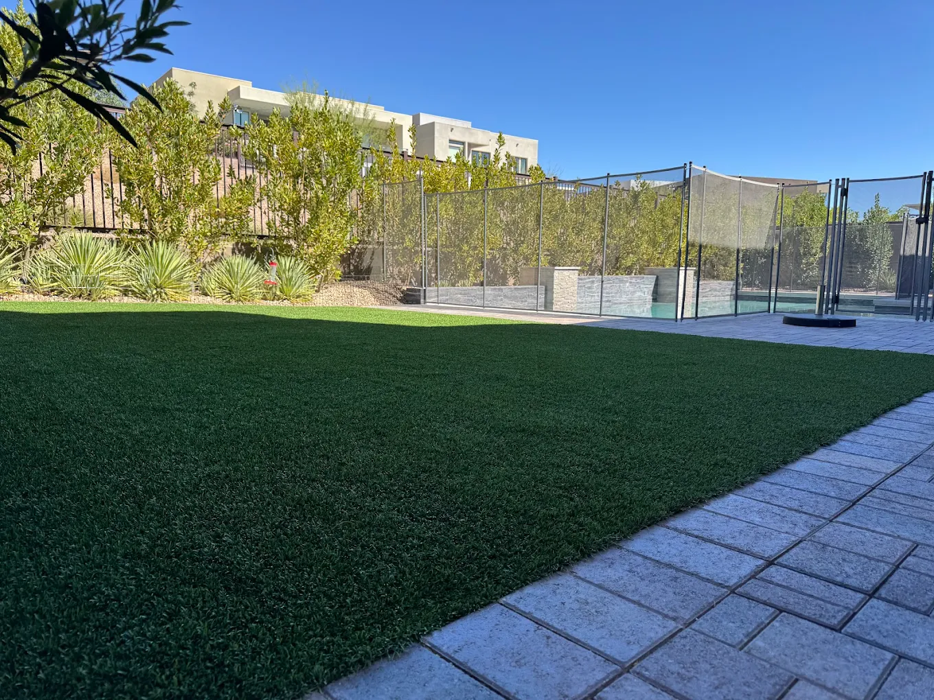 Large artificial turf area suitable for commercial pet daycare and recreational use