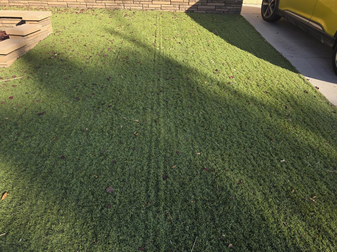 Matted and flattened artificial turf fibers needing restoration in Las Vegas